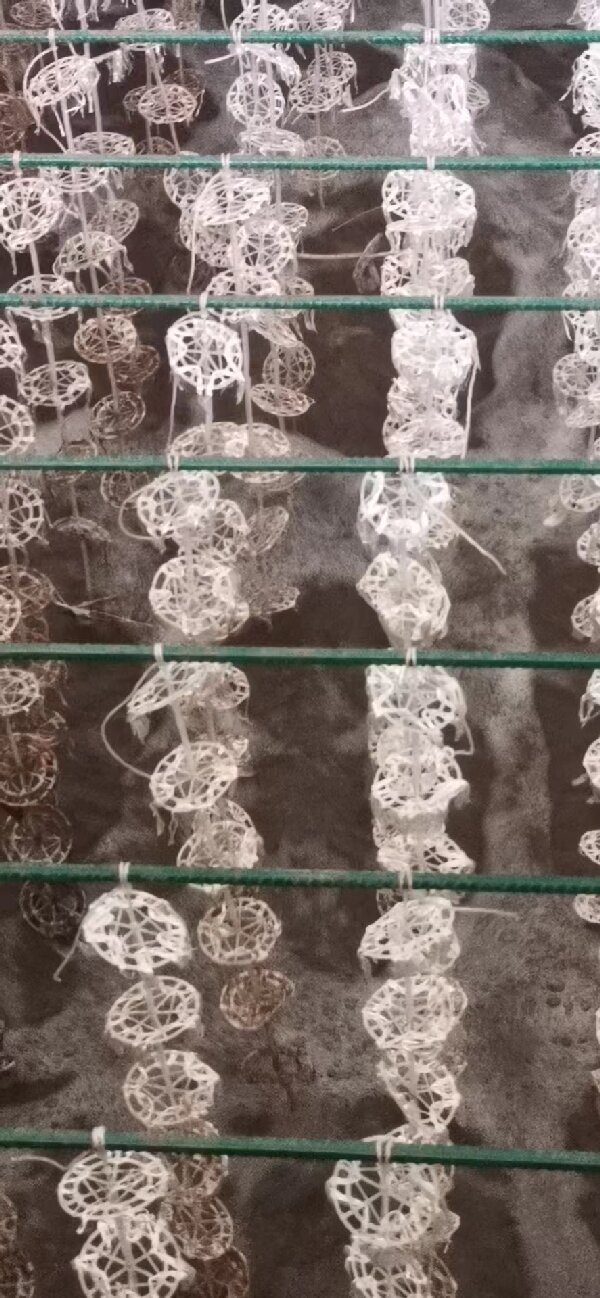 深業(yè)新能源（臺(tái)鈴電動(dòng)車）電泳、